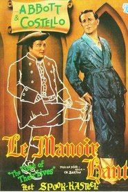 Deux Nigauds dans le manoir hanté streaming sur filmcomplet
