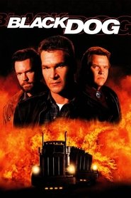 Poster of undefined