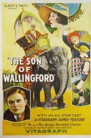 The Son of Wallingford streaming sur filmcomplet