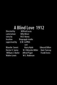 Film Blind Love streaming VF complet