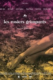 Film Les rosiers grimpants streaming VF complet