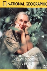 Poster of undefined