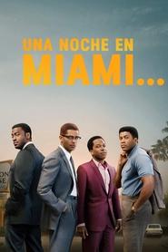 Imagen de Una noche en Miami…