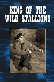 Film King of the Wild Stallions streaming VF complet