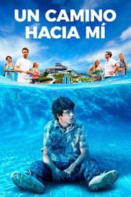 Imagen de El camino de vuelta