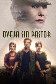 Imagen de Oveja sin pastor