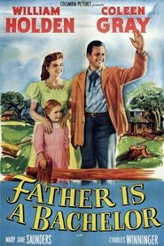 Poster of undefined