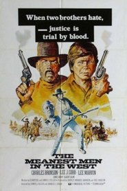 Film Il était une fois 2 salopards streaming VF complet