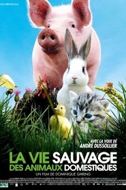 Film La vie sauvage des animaux domestiques streaming VF complet