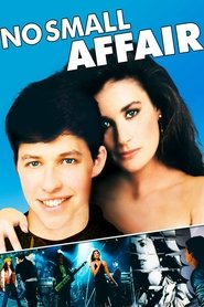Film No Small Affair streaming VF complet