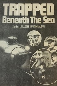 Poster of undefined