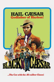 Black Cesar, le parrain de Harlem 1973