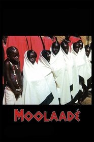 Imagen de Moolaadé