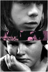 Film Juvenile Liaison streaming VF complet