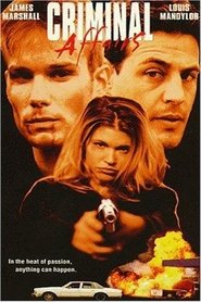 Film Criminal Affairs streaming VF complet