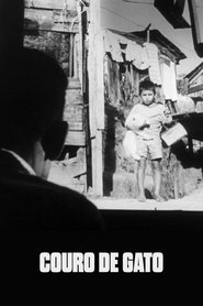 Film Couro de Gato streaming VF complet