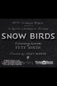 Film Snow Birds streaming VF complet