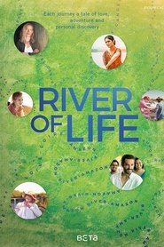 Poster of Fluss des Lebens