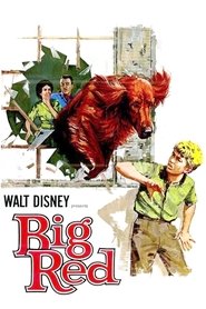 Film Compagnon d'aventure streaming VF complet