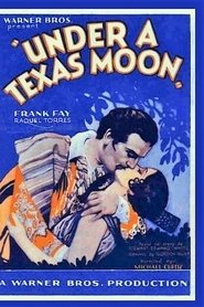 Film Under a Texas Moon streaming VF complet