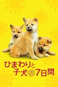 Imagen de 7 Days of Himawari & Her Puppies