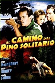 Imagen de El camino del pino solitario