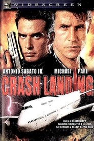 Film Crash Landing streaming VF complet