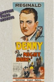 Film The Night Bird streaming VF complet