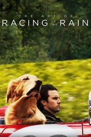 The Art of Racing in the Rain 2019