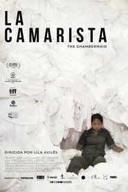 Film La Camarista streaming VF complet