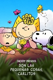 Imagen de Snoopy presenta: Son las pequeñas cosas, Carlitos