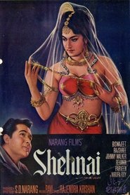 Shehnai streaming sur filmcomplet
