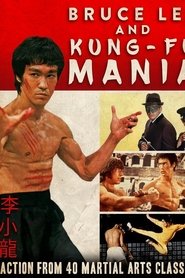 Film Bruce Lee and Kung Fu Mania streaming VF complet