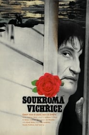 Film Soukromá vichřice streaming VF complet