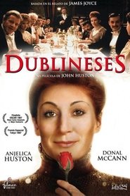 Imagen de Dublineses