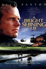 Film A Bright Shining Lie streaming VF complet