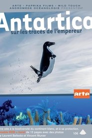 Film Antartica : sur les traces de l'empereur streaming VF complet