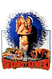 Poster of undefined