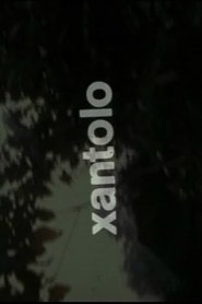 Film Xantolo, fiesta de la muerte streaming VF complet