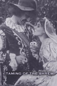 Film The Taming of the Shrew streaming VF complet