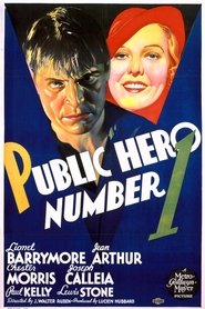 Public Hero Number 1 streaming sur filmcomplet