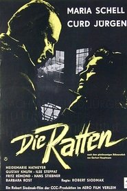 Film Les rats streaming VF complet