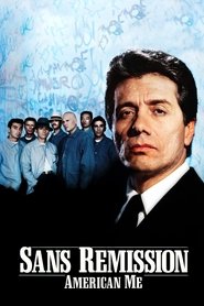 Film Sans rémission streaming VF complet