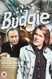 Poster of Budgie