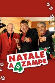 Imagen de Natale a 4 zampe