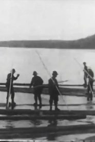Imagen de Logging in Maine