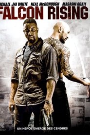 Falcon Rising