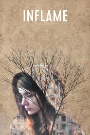 Poster of undefined