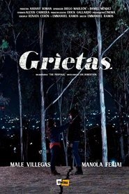 Imagen de Grietas