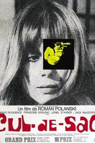 Film Cul-de-sac streaming VF complet